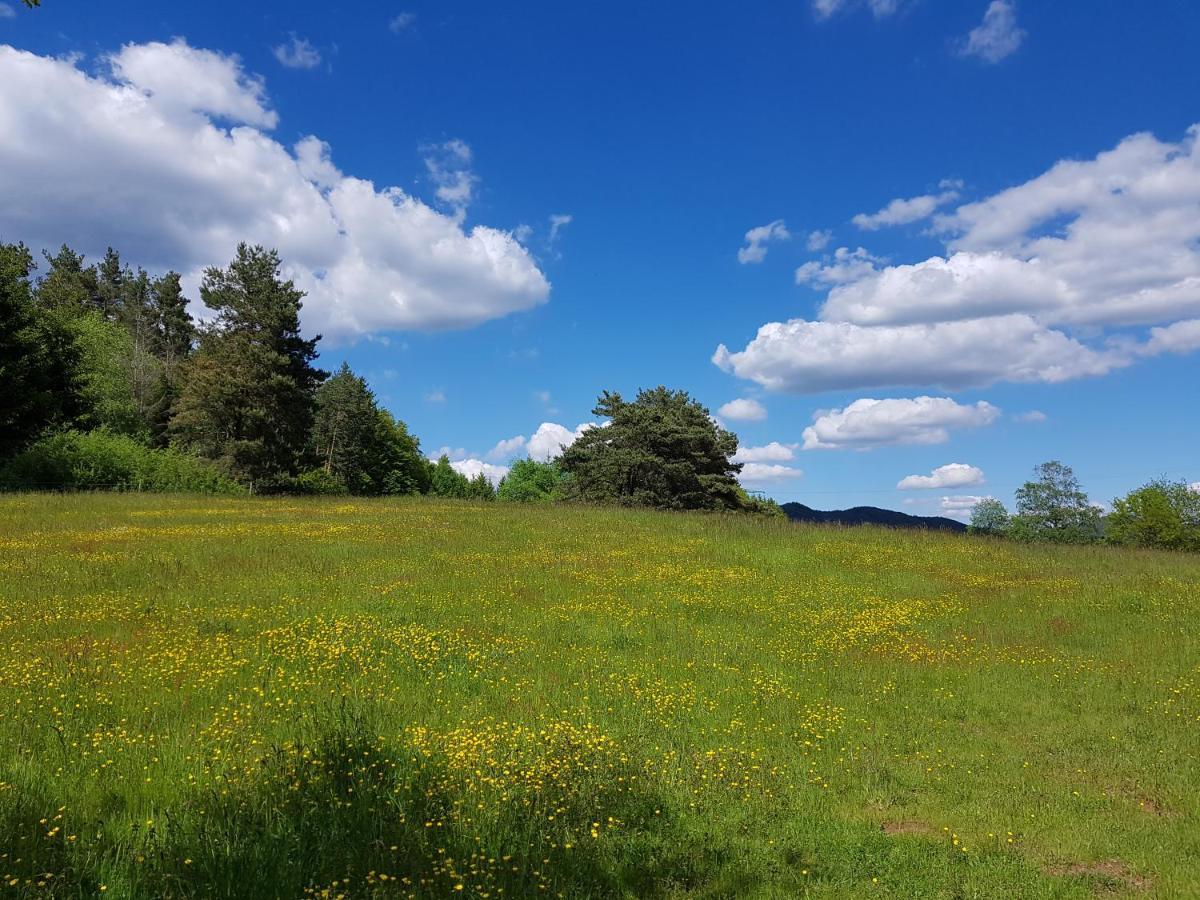 Hoellenbergblick Spirkelbach 外观 照片